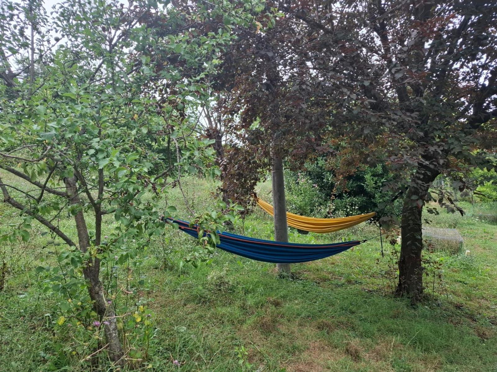 B&B Ride Appennino Montefiorino Kültér fotó